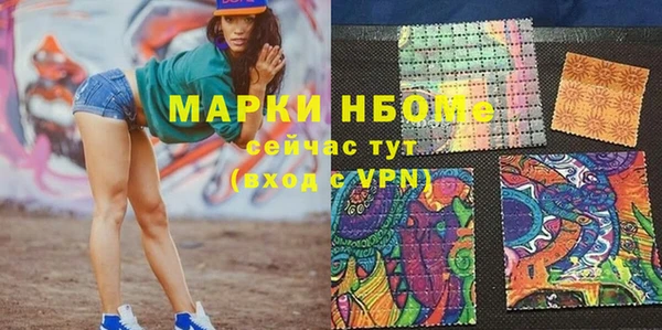 СК Алексин
