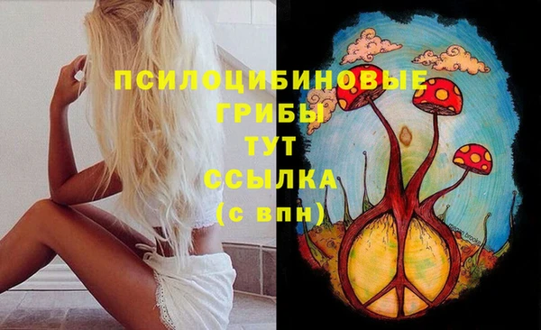 таблы Алзамай