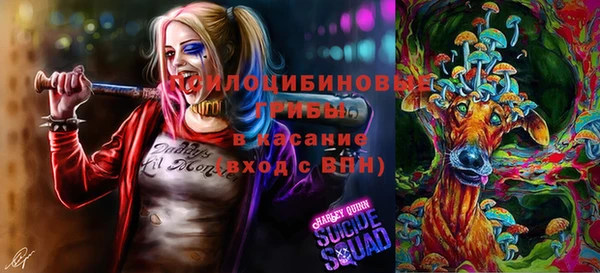 таблы Алзамай